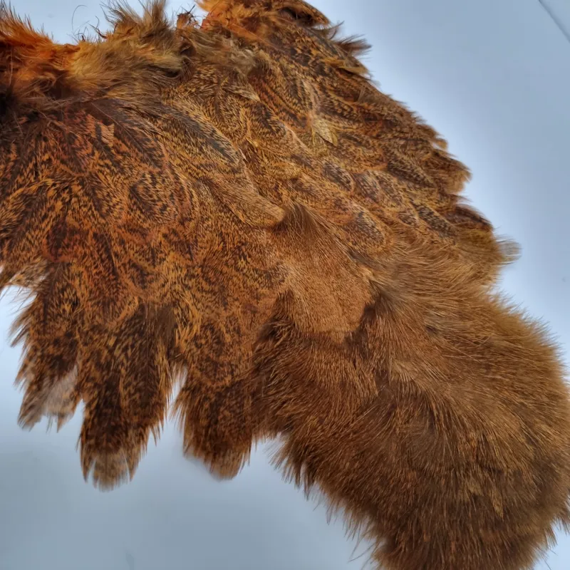 Whiting Coq de Leon Hen Soft Hackle with Chickabou in Speckled Burnt Orange-4